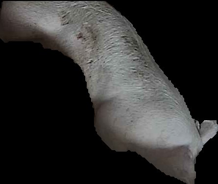 Crop