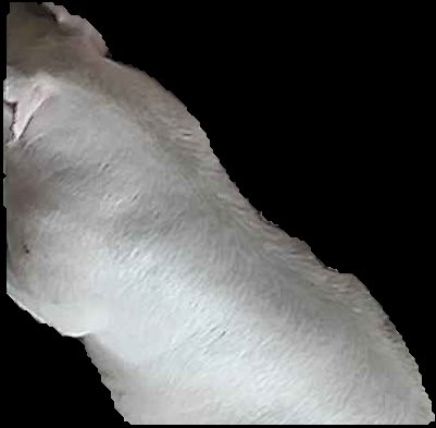 Crop