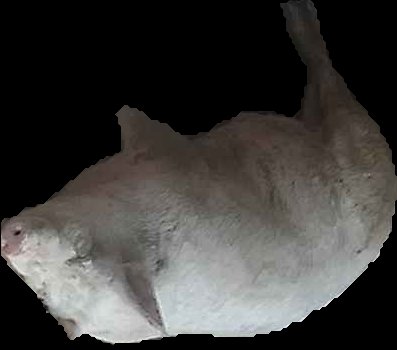 Crop
