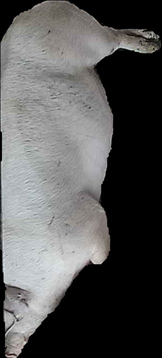 Crop