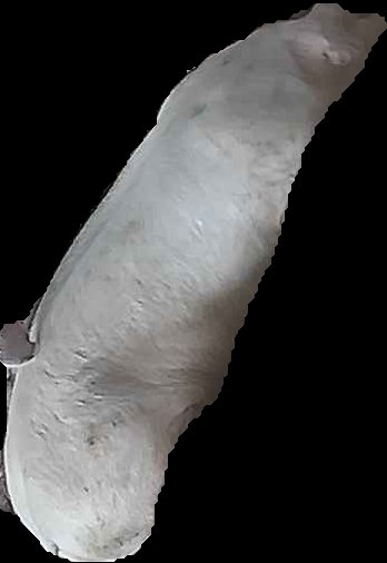 Crop