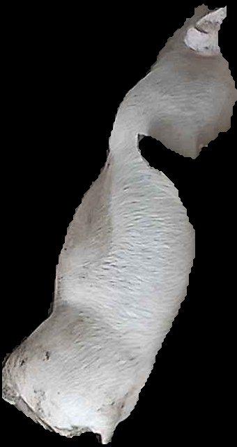 Crop