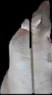 Crop