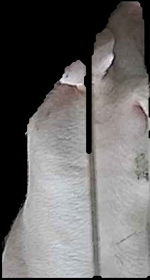 Crop