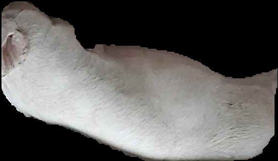Crop
