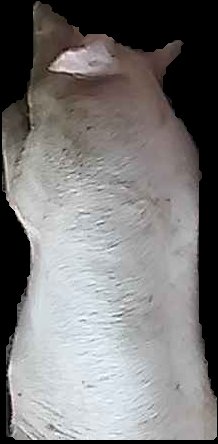 Crop
