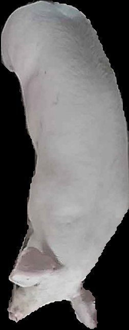 Crop