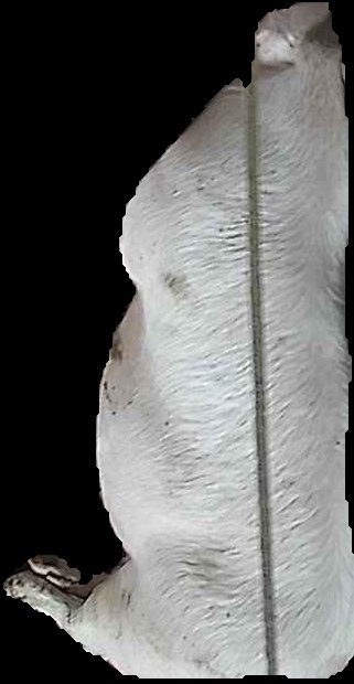 Crop