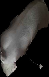 Crop