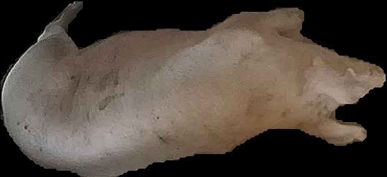 Crop