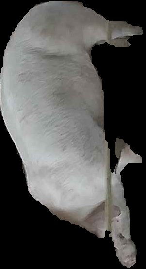 Crop