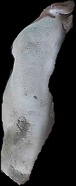 Crop