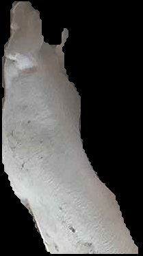 Crop