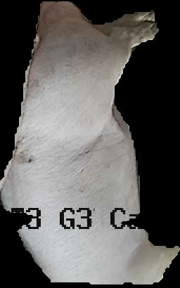 Crop