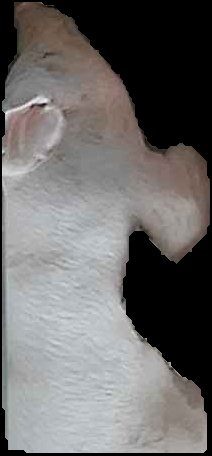Crop