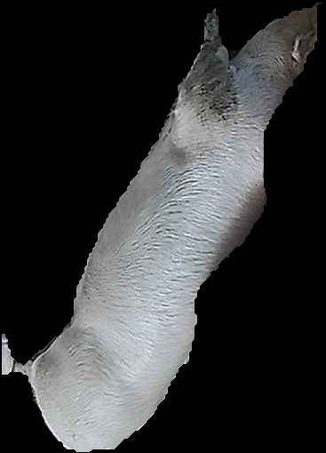Crop