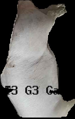 Crop