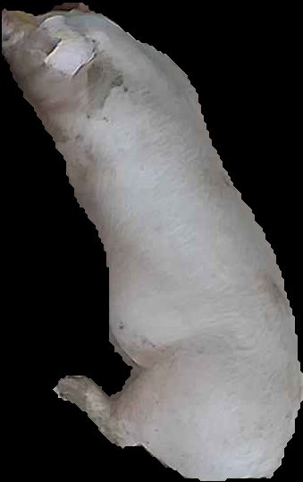Crop