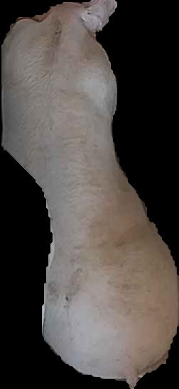 Crop