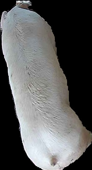 Crop