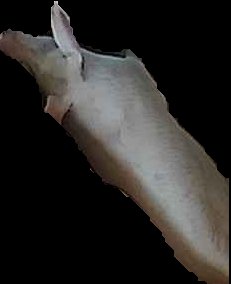 Crop