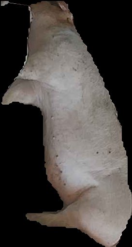 Crop