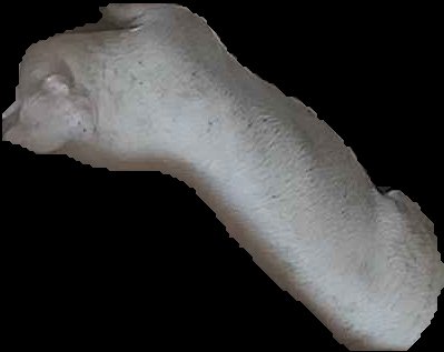 Crop