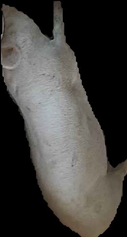 Crop