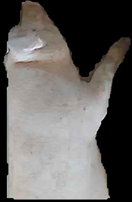 Crop