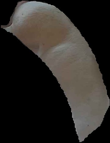 Crop