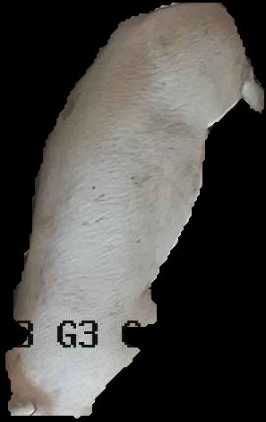 Crop