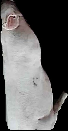 Crop