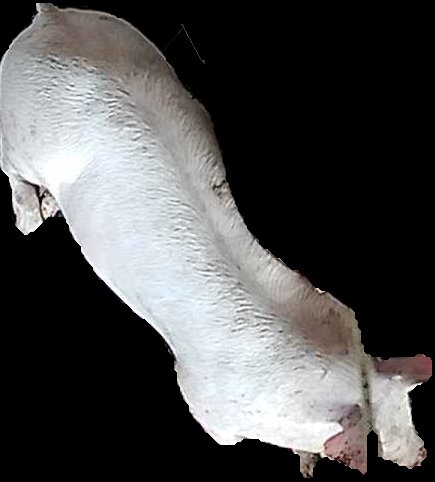 Crop