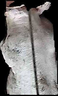 Crop