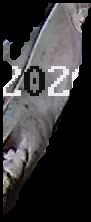Crop