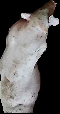 Crop