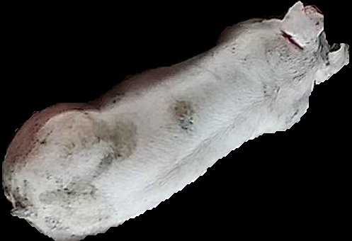 Crop
