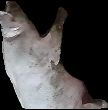 Crop