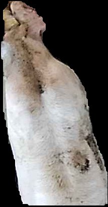 Crop