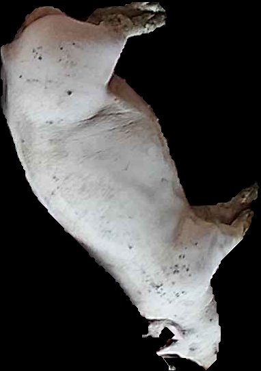 Crop