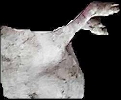 Crop