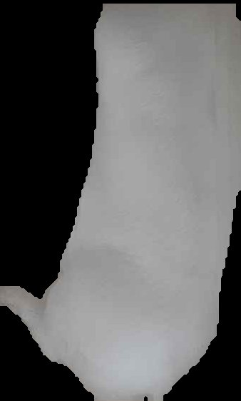Crop