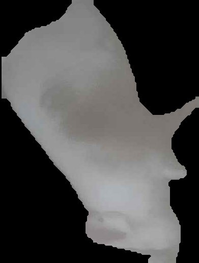 Crop