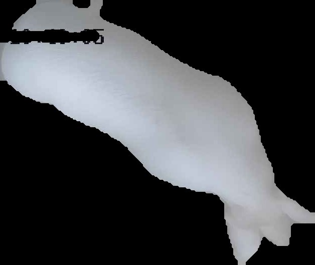 Crop
