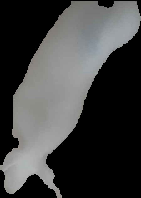 Crop