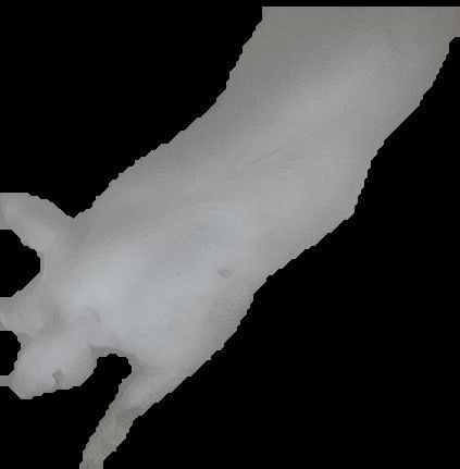 Crop