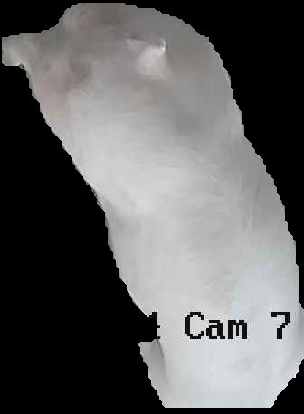 Crop