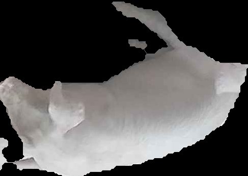 Crop