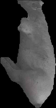 Crop