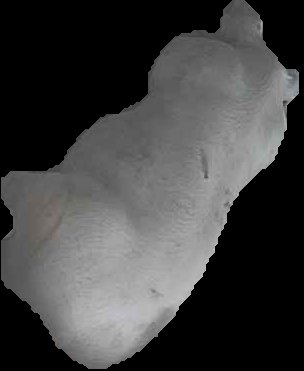 Crop